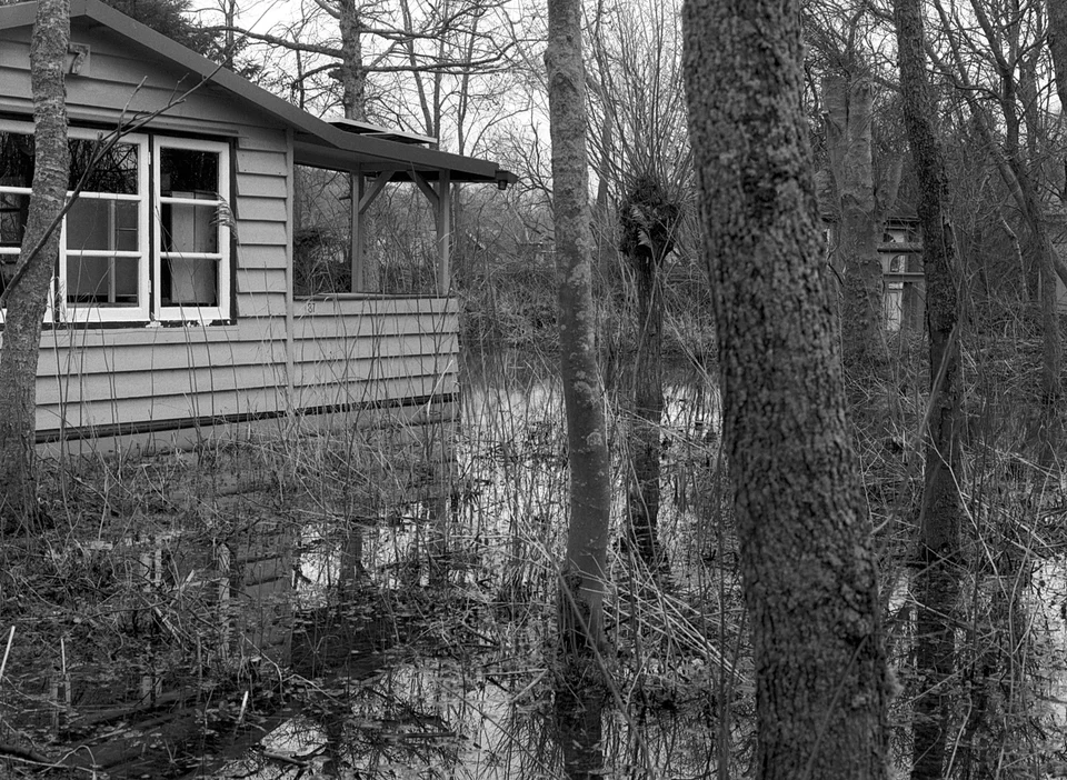 A timber cabin among trees, with its walls and windows reflected in still water.