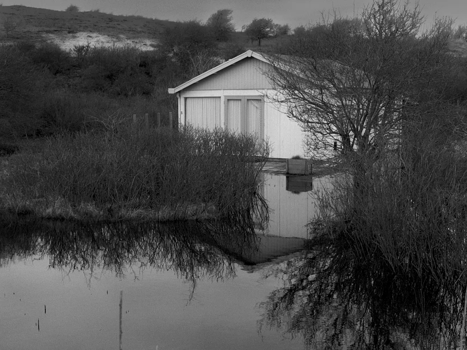 A pale garden house and leafless tree mirrored in water around their foundations.